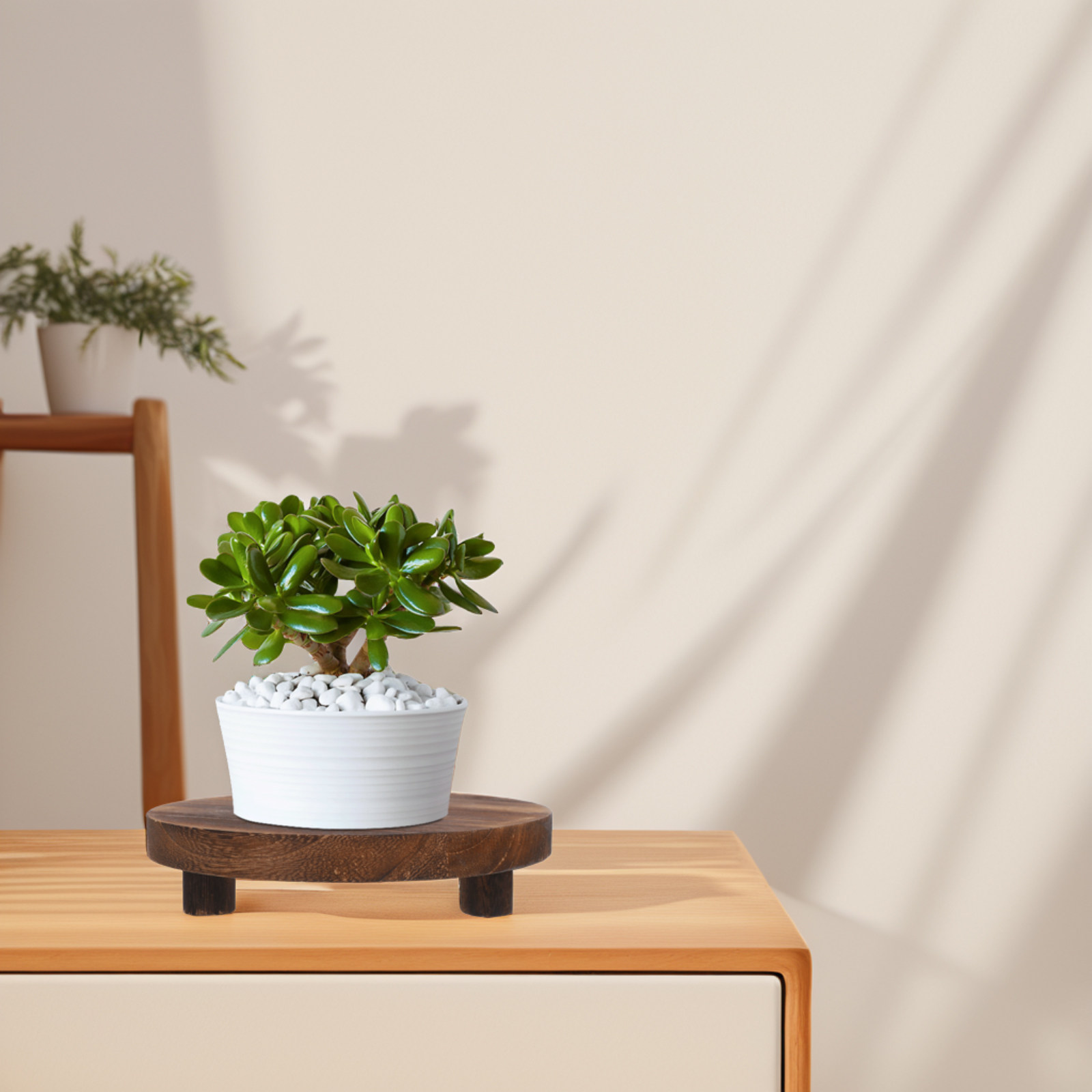 Juego de 3 soportes para plant - Display Risers Set reseña y precio