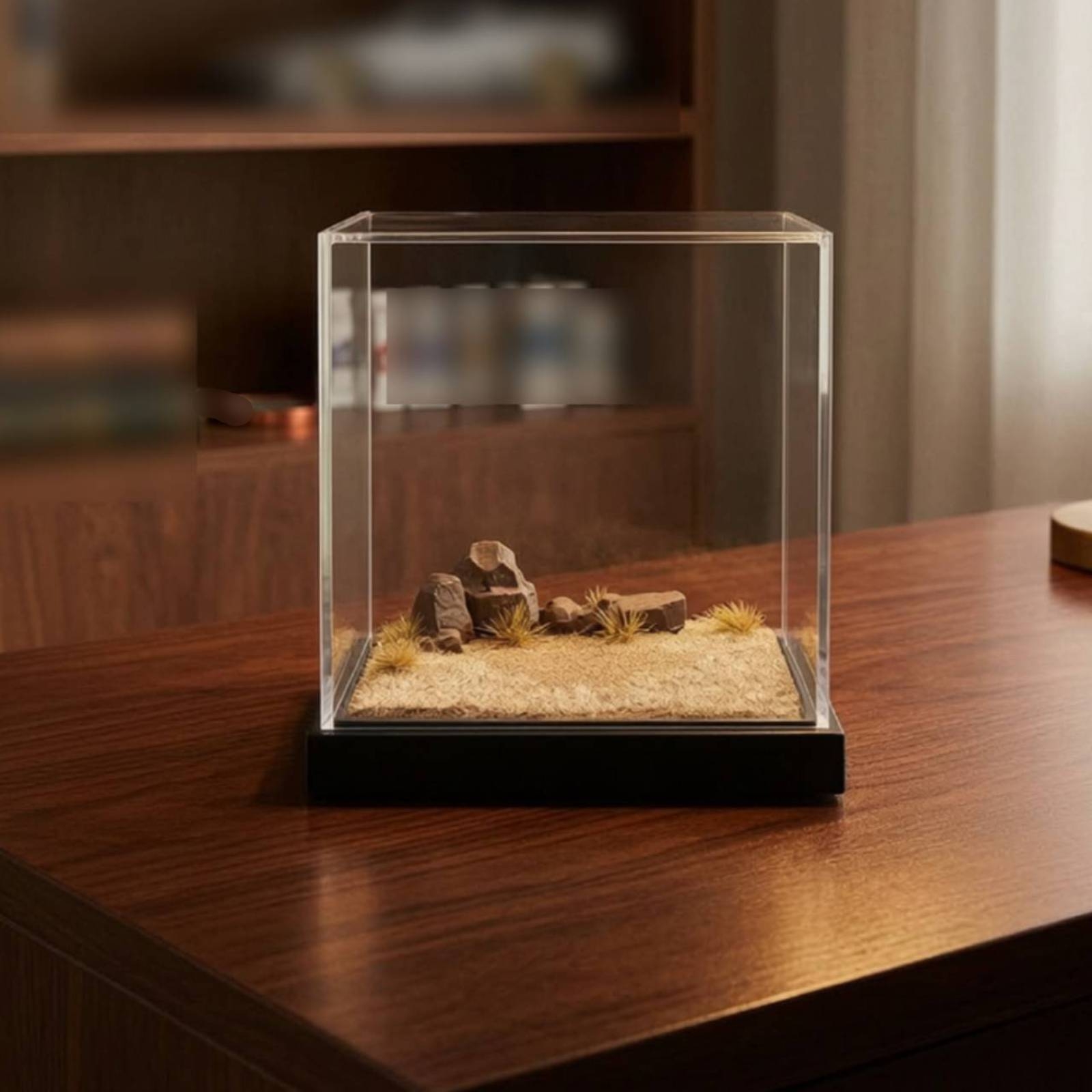 Plataforma de exhibición trans - Display Case Acrylic reseña y precio