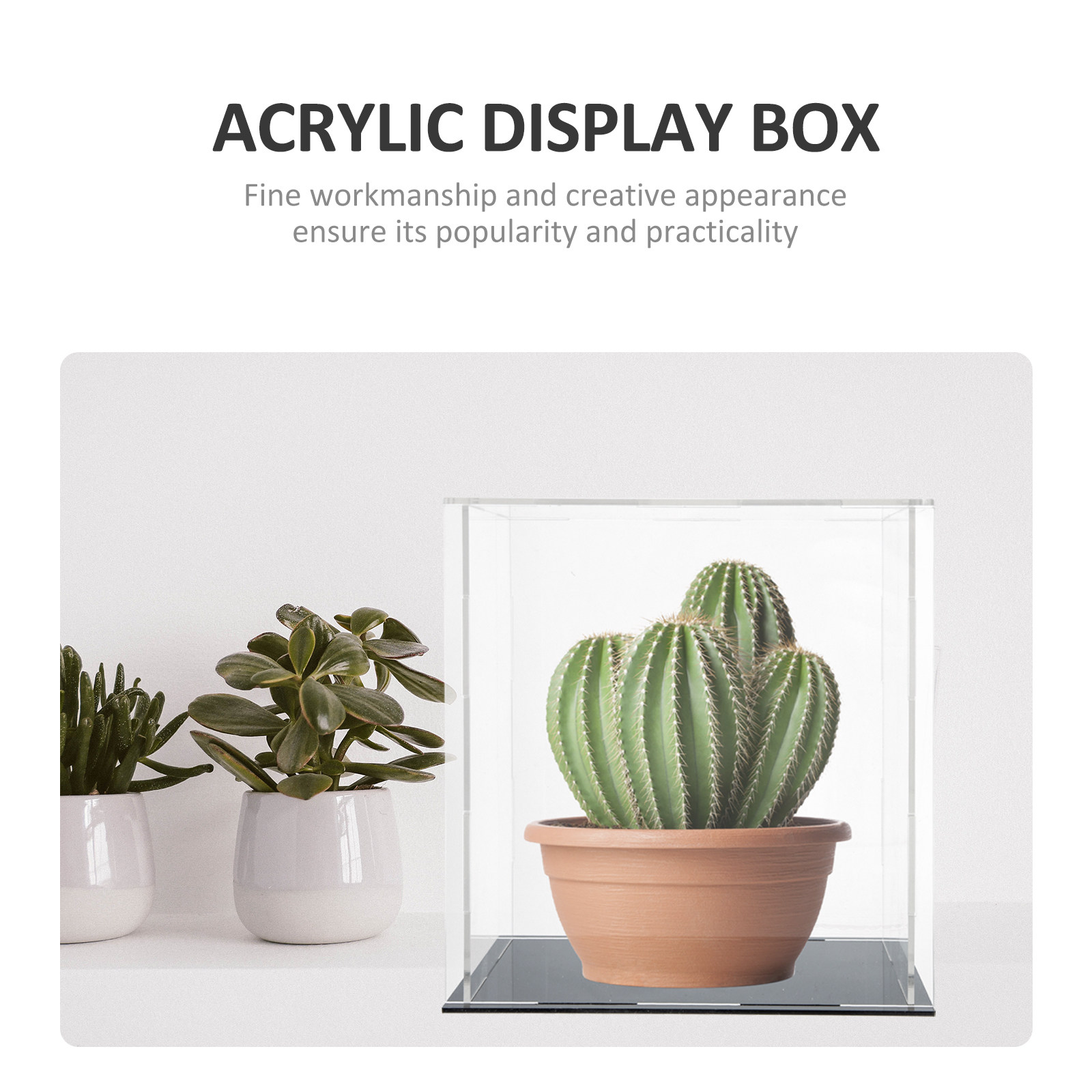 Caja de exhibición de acrílico - Display Case Acrylic reseña y precio
