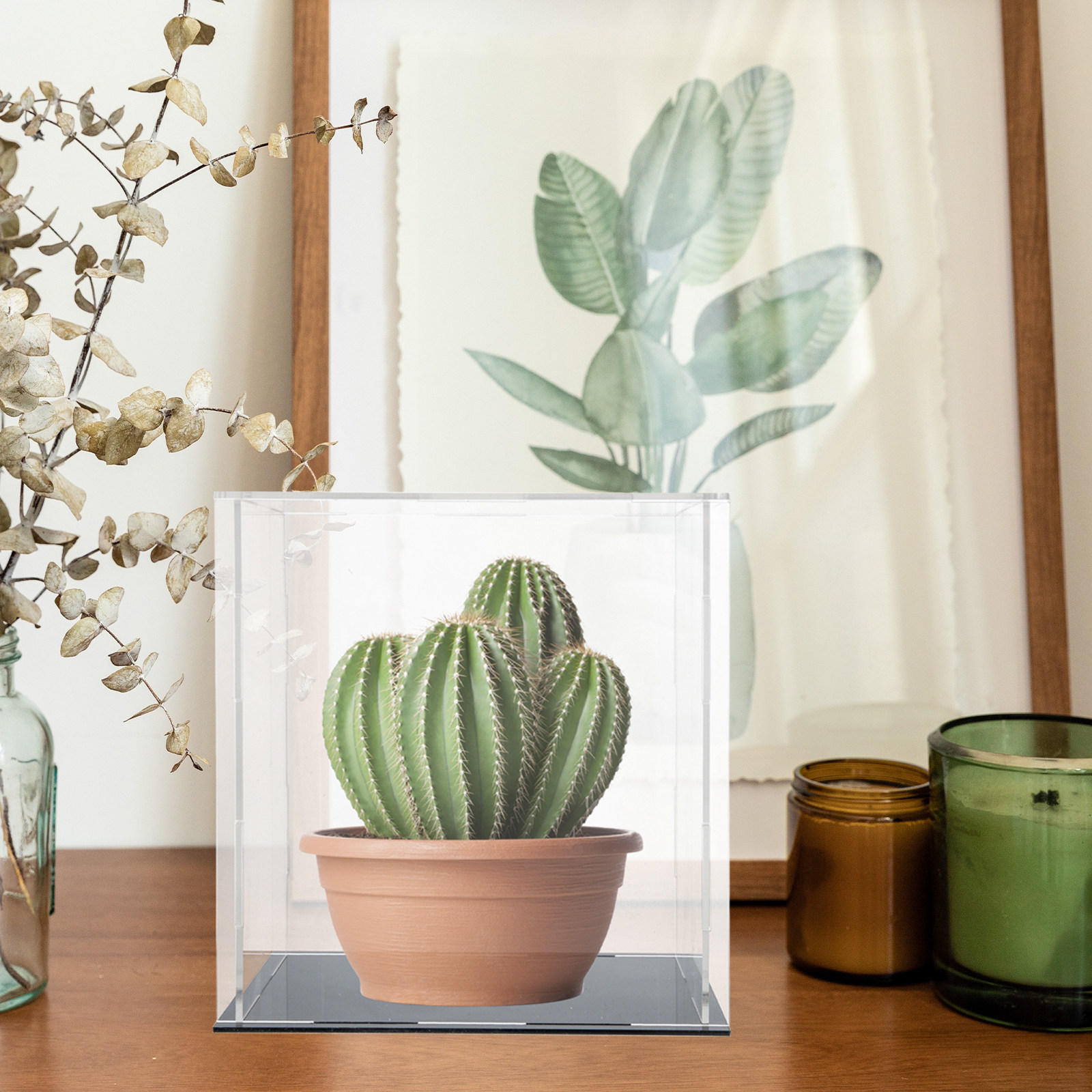 Caja de exhibición de acrílico - Display Case Acrylic reseña y precio